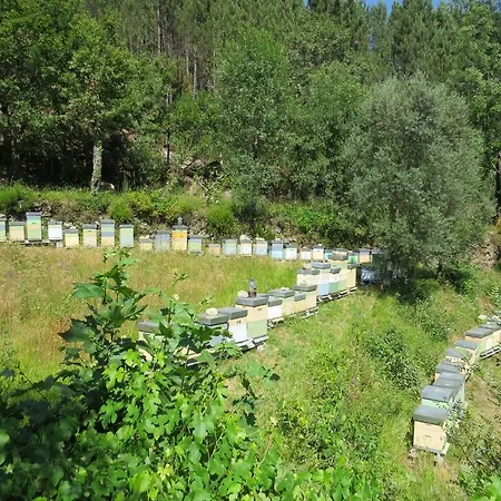 Residencia Iris بيت ضيافة 4*