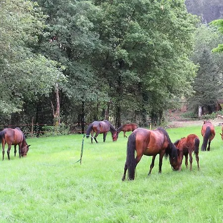 Residencia Iris 4* Geres