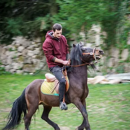 Residencia Iris بيت ضيافة 4*