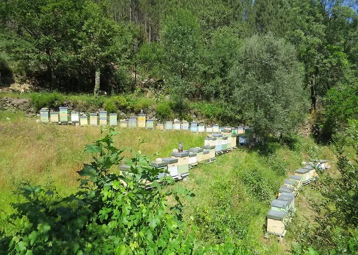 Residencia Iris Gasthof 4*