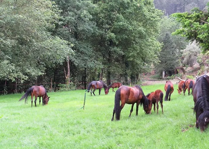 Residência Iris 4* Gerês