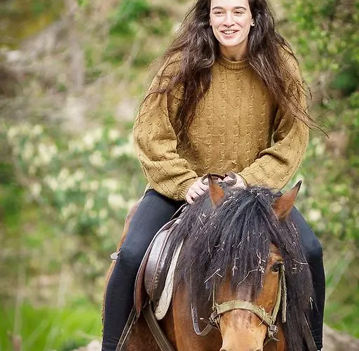 Gasthof Residencia Iris 4*