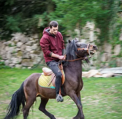 Residencia Iris Gasthof 4*